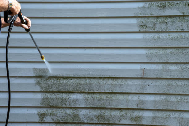 Best Storm Damage Siding Repair  in Fort Pierce North, FL